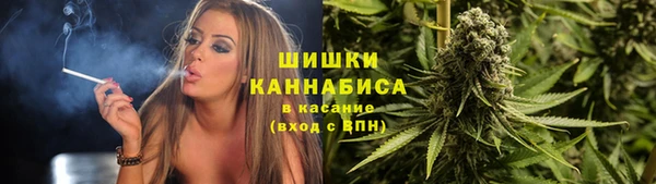 apvp Белокуриха