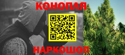 шишки Балаково