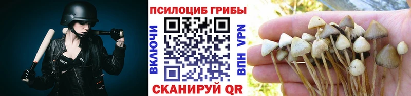 Псилоцибиновые грибы GOLDEN TEACHER  Верхняя Пышма 