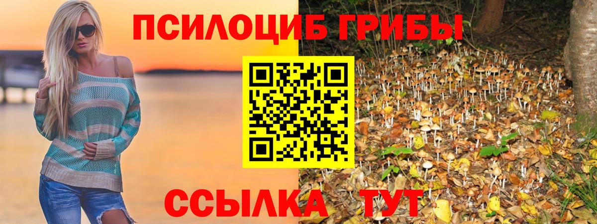Верхняя Пышма  Галлюциногенные грибы MAGIC MUSHROOMS  Вход с VPN  Псилоцибиновые грибы мицелий 