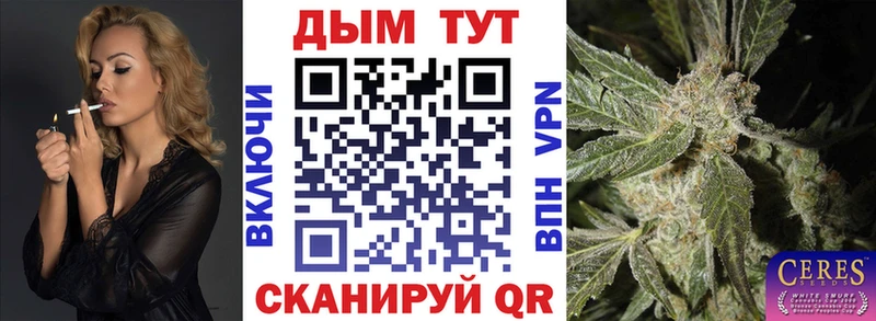 Шишки марихуана семена  Верхняя Пышма 