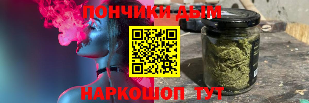 Верхняя Пышма  Бошки Шишки план  Бошки Шишки конопля  Канабис SATIVA & INDICA  Вход с VPN 